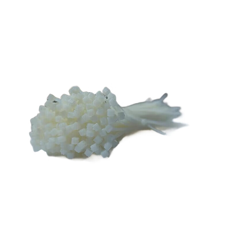 安赛瑞 39825 尼龙扎带 3.3×200mm 500根/包 白色 500根/包 型号：5×200mm按（包）销售