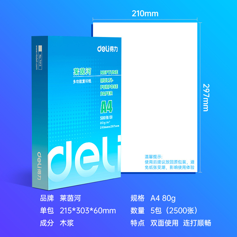 得力 A4 80g 莱茵河复印纸 500张/包 5包/箱 白色按箱销售