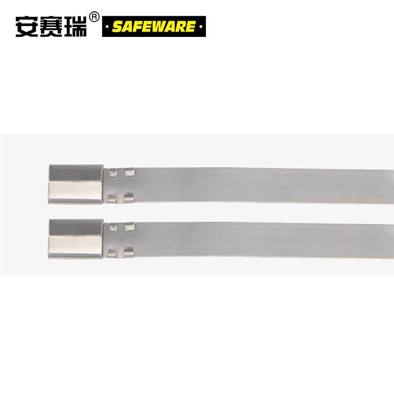 安赛瑞 13856 不锈钢扎带（100根装）10×1000mm银按（包）销售
