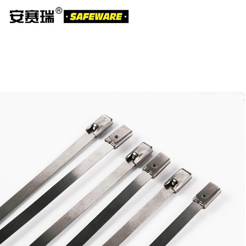 安赛瑞 13856 不锈钢扎带（100根装）10×1000mm银按（包）销售
