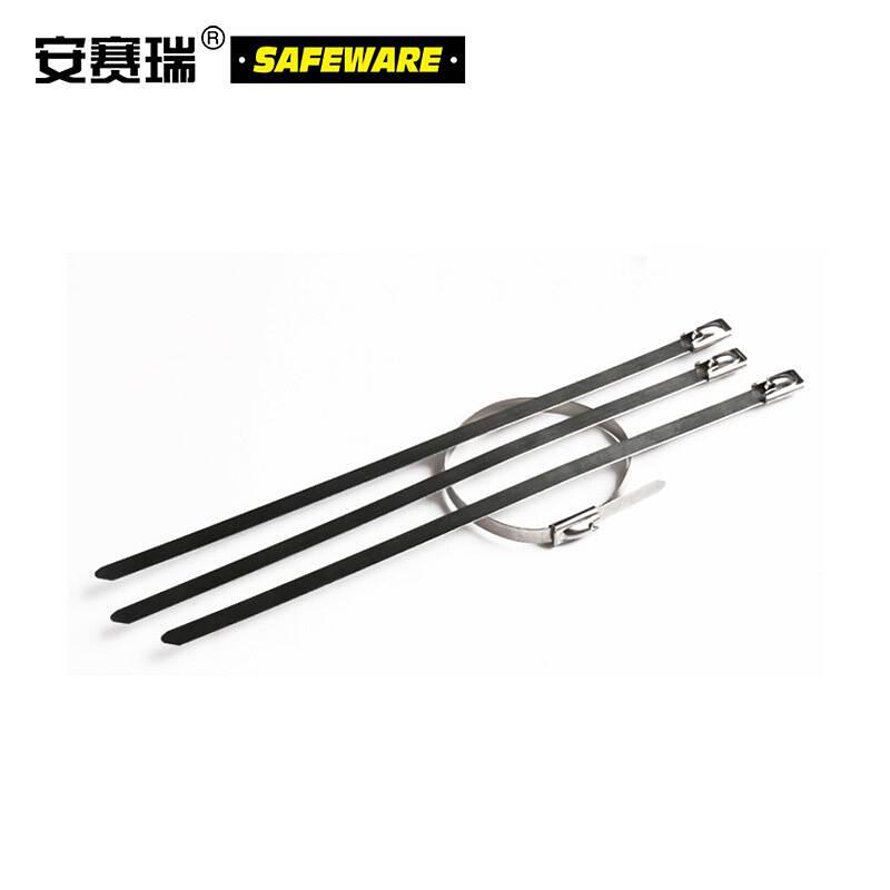 安赛瑞 13856 不锈钢扎带（100根装）10×1000mm银按（包）销售