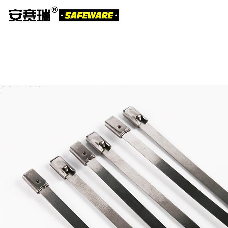 安赛瑞 13856 不锈钢扎带（100根装）10×1000mm银按（包）销售