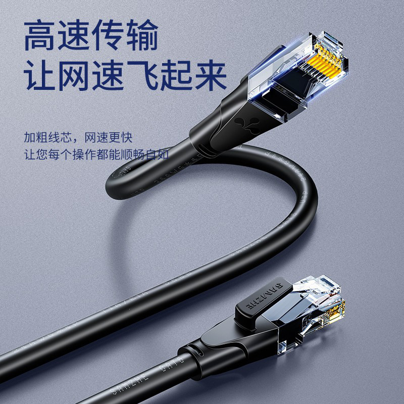 山泽 WD6100 六类网线 CAT6类千兆网络跳线 10米 黑色按（根）销售