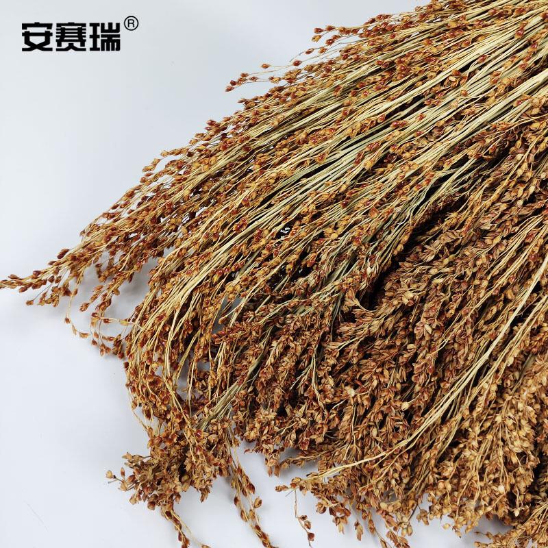 安赛瑞 24191 高粱扫把 (5把装) 88×40cm按（包）销售