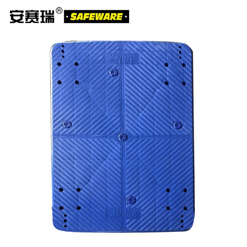安赛瑞 23658 双层平板手推车 60×90cm 不带护栏 承重300kg按辆销售