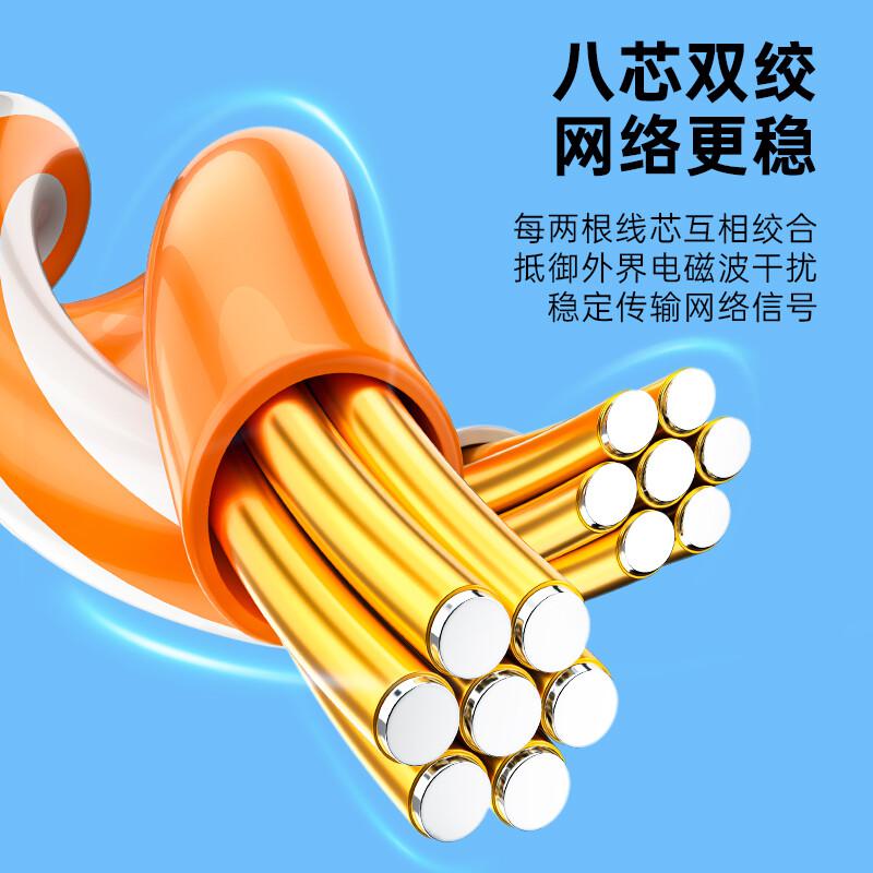 山泽 ZW-02 超五类网线 百兆 2米 贝吉色按条销售