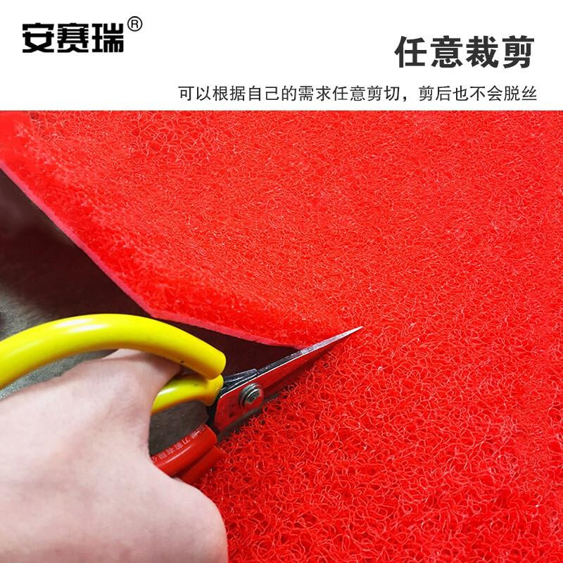 安赛瑞 12651 PVC丝圈防滑走道垫 1.2×6m 红按（件）销售