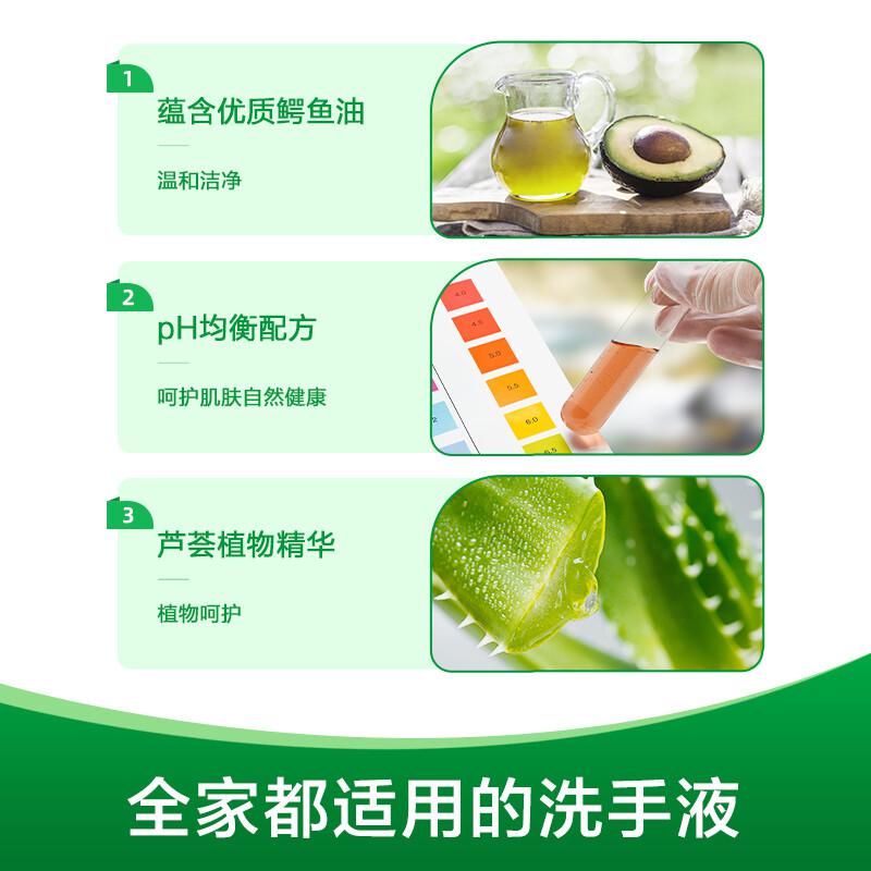 滴露 抑菌 洗手液植物呵护 500g按（瓶）销售