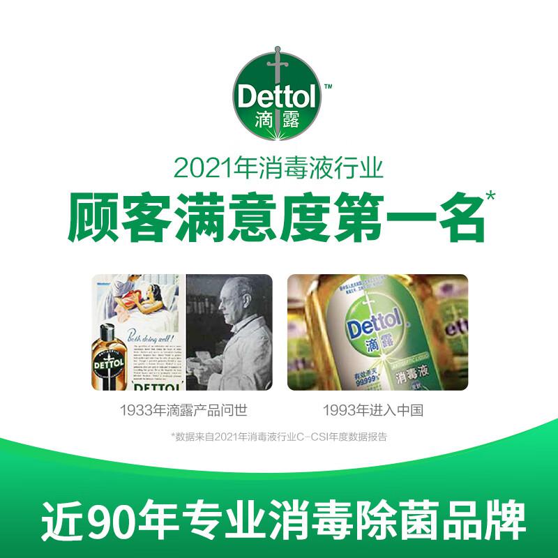 滴露 抑菌 洗手液植物呵护 500g按（瓶）销售