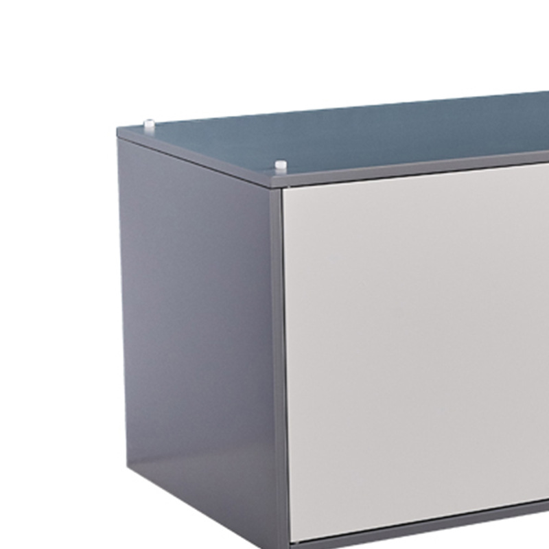 企诺 QNGa13FO-06LPA 文件柜加厚 单节顶柜 900*400*390mm按个销售