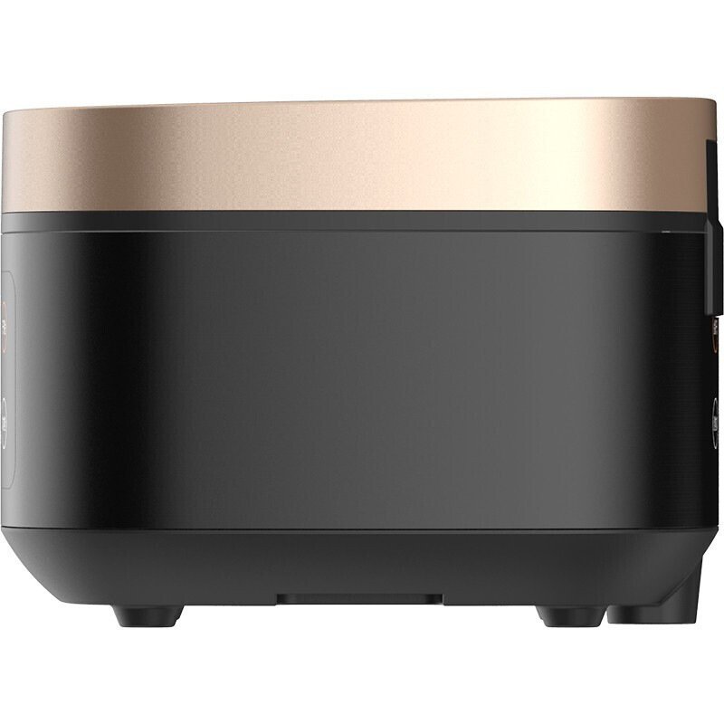 九阳 F40FZ-F531(B) 电饭煲 860W 金黑色按(台)销售 九阳 F40FZ-F531(B) 电饭煲 860W 金黑色按(台)销售