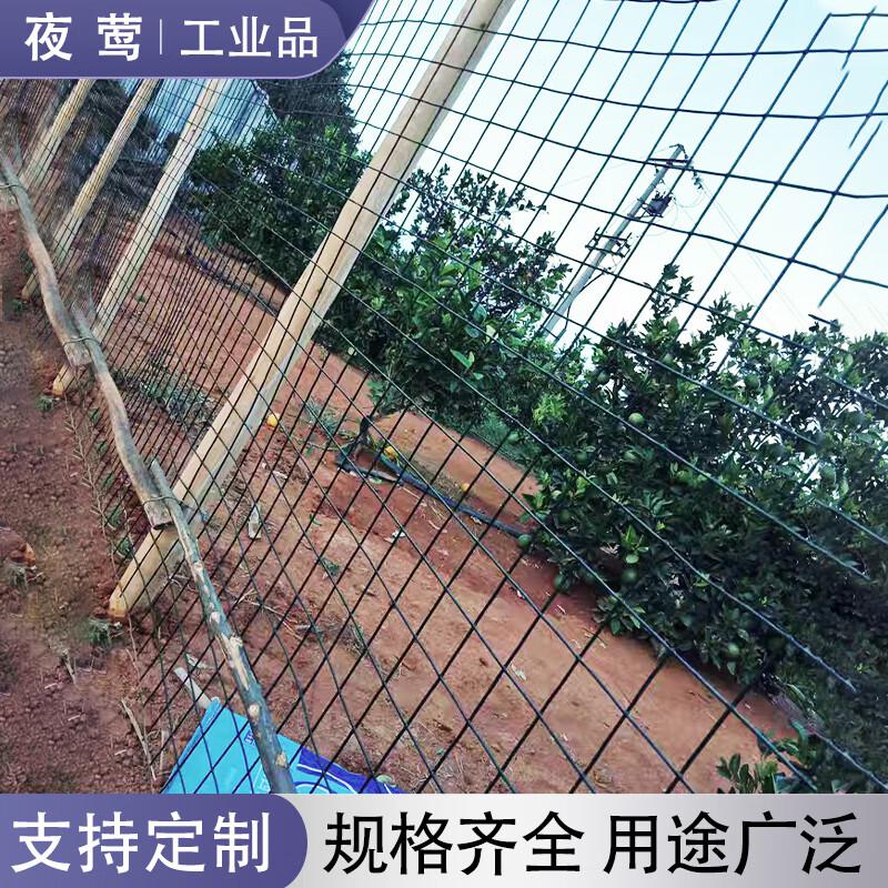 夜莺 硬塑铁丝网荷兰网 2.8MM粗1.2米高6CM孔30米38斤左右 墨绿色按卷销售