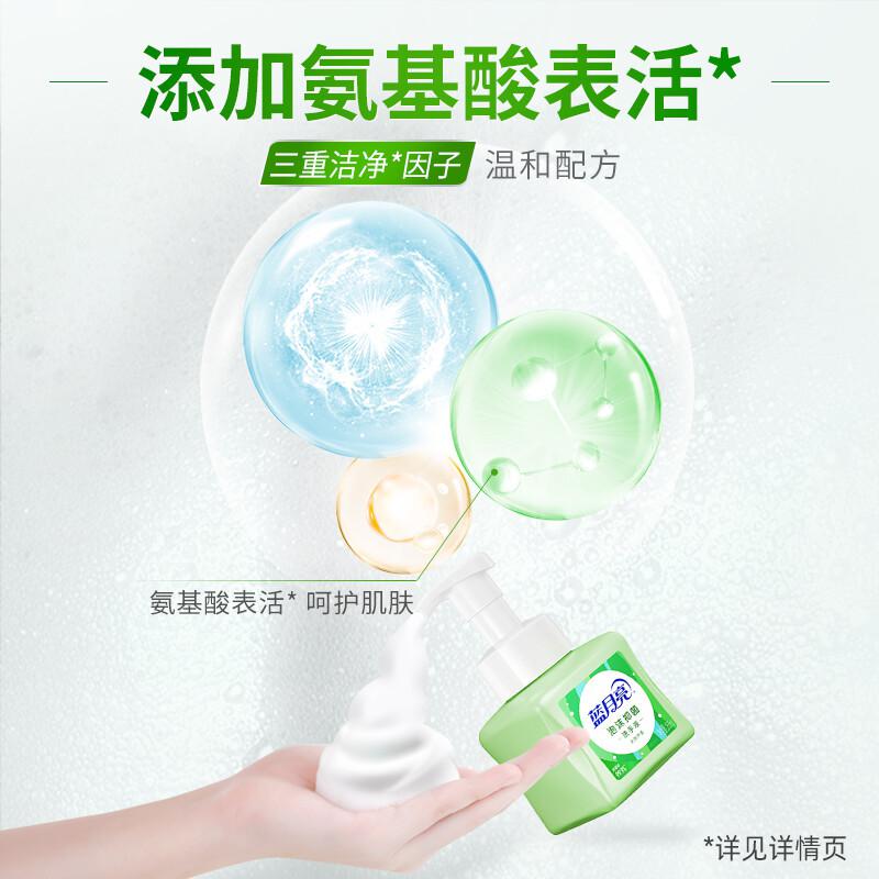 蓝月亮 芦荟泡沫抑菌洗手液 单位：瓶 255ml按（瓶）销售