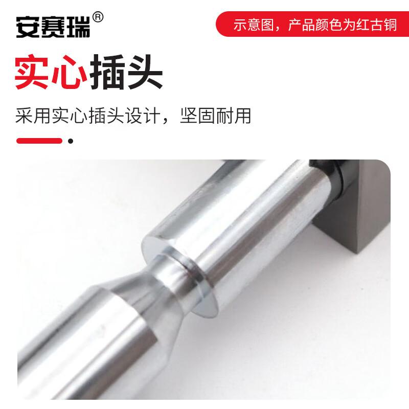 安赛瑞 5D00693 旋转门地插销 木门大铁门带框玻璃门锁 钥匙款 长约187mm 红古铜按（个）销售