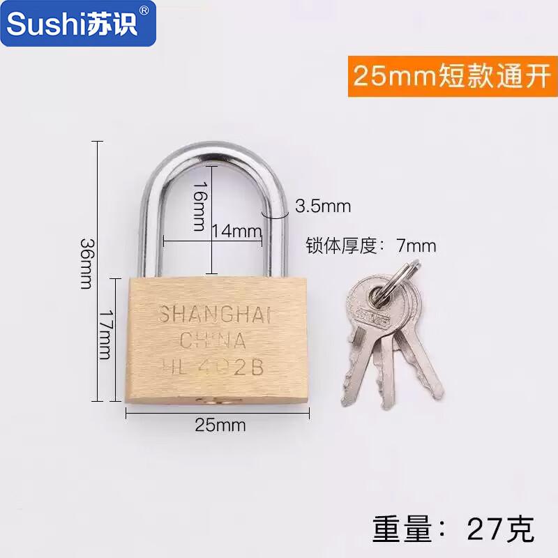 苏识 1610019 WJ0001 铜锁薄款地球牌挂锁 HL402 6把起订按把销售
