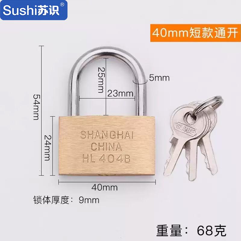 苏识 1610481 WJ0001 铜锁薄款地球牌挂锁 HL404 3把起订按把销售