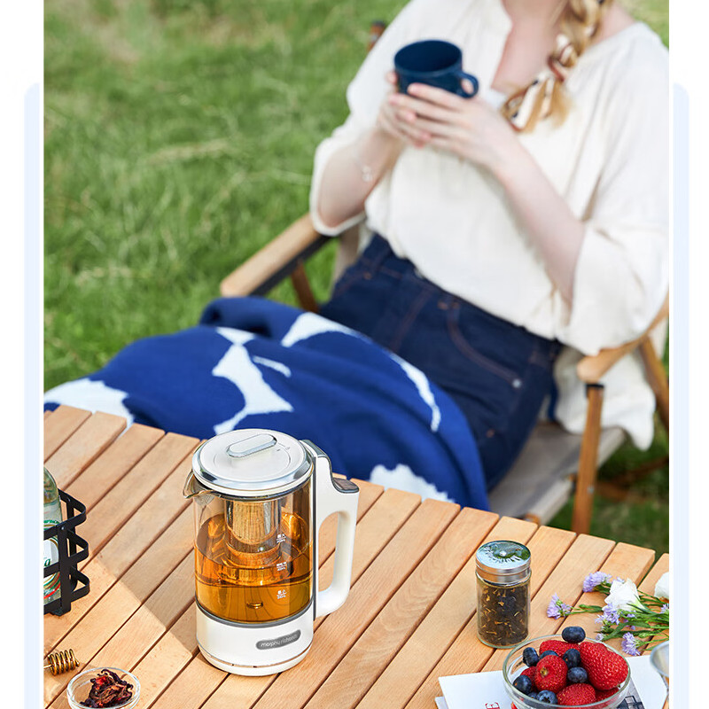 摩飞 MR6085 分体便携养生壶 600ml 白色按（台）销售