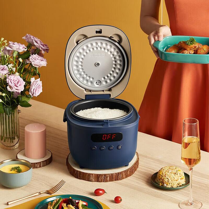 小熊 DFB-B20N2 电饭煲按（台）销售