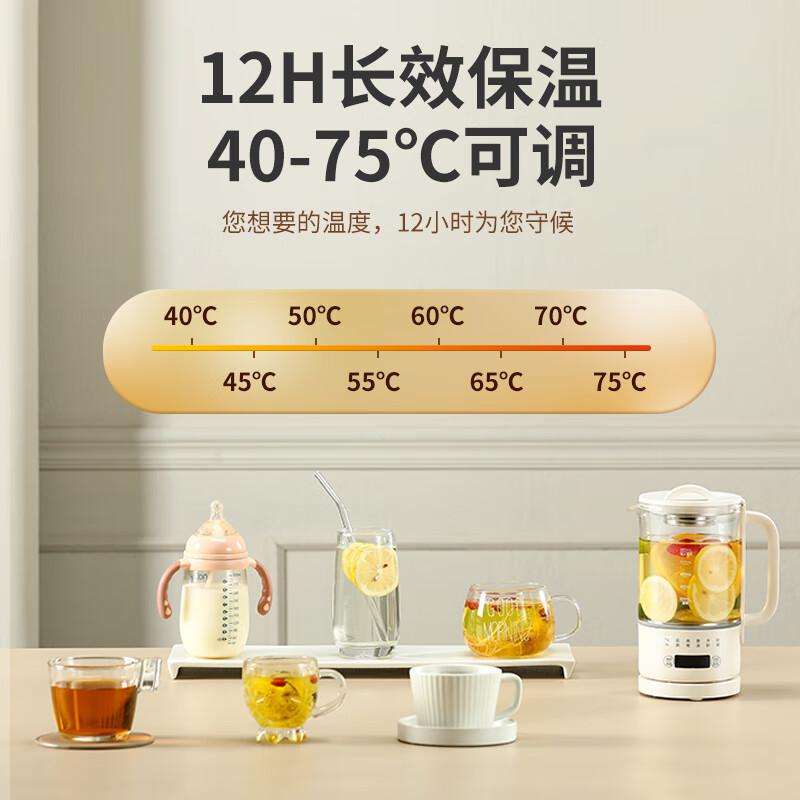 荣事达 YSH06C 养生壶按（台）销售