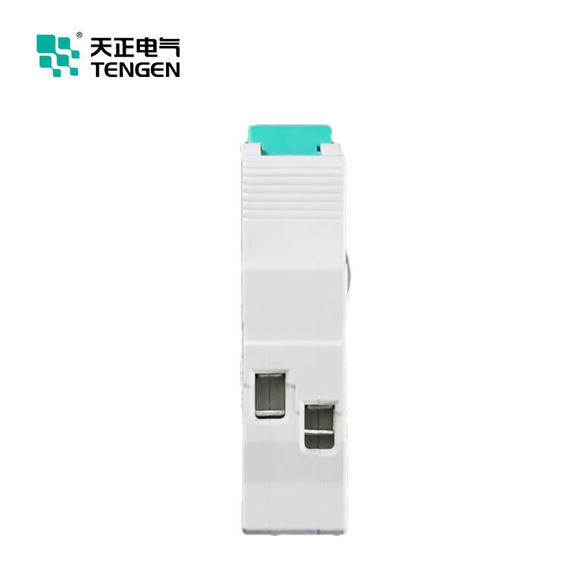 天正电气 TGB1N-63S 3P C40 小型断路器按（个）销售