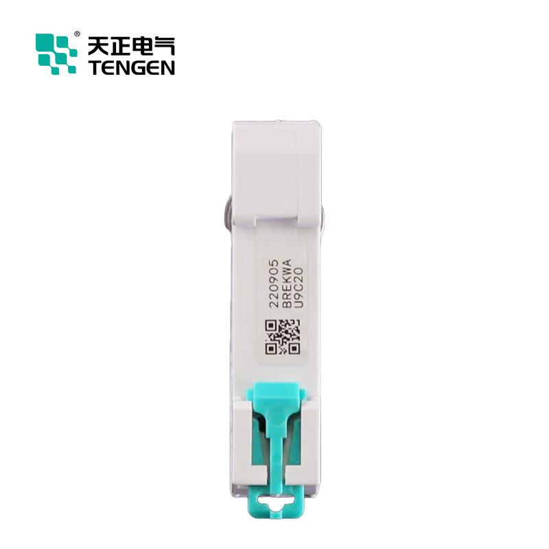 天正电气 TGB1N-63S 3P C40 小型断路器按（个）销售