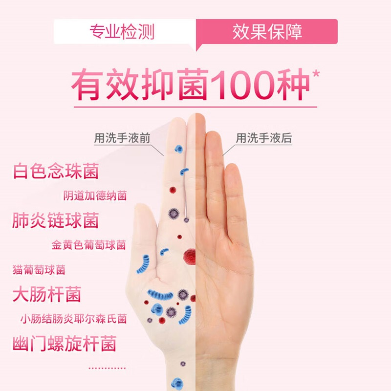 滴露 抑菌洗手液组合 滋润倍护450g+经典松木450g按（组）销售