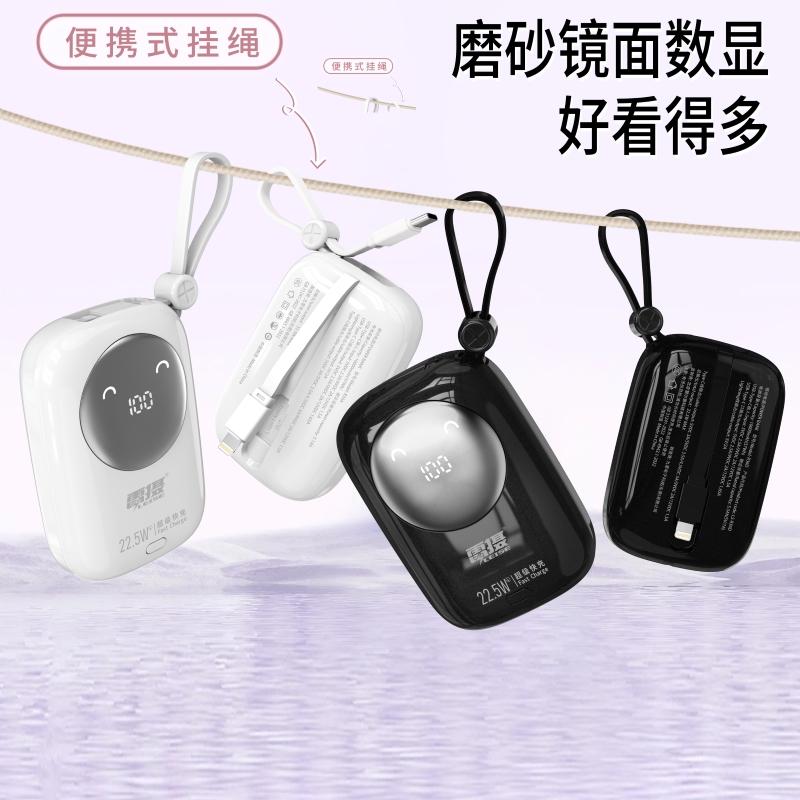 雷摄 LS-R36D 移动电源 10000毫安 黑色按个销售
