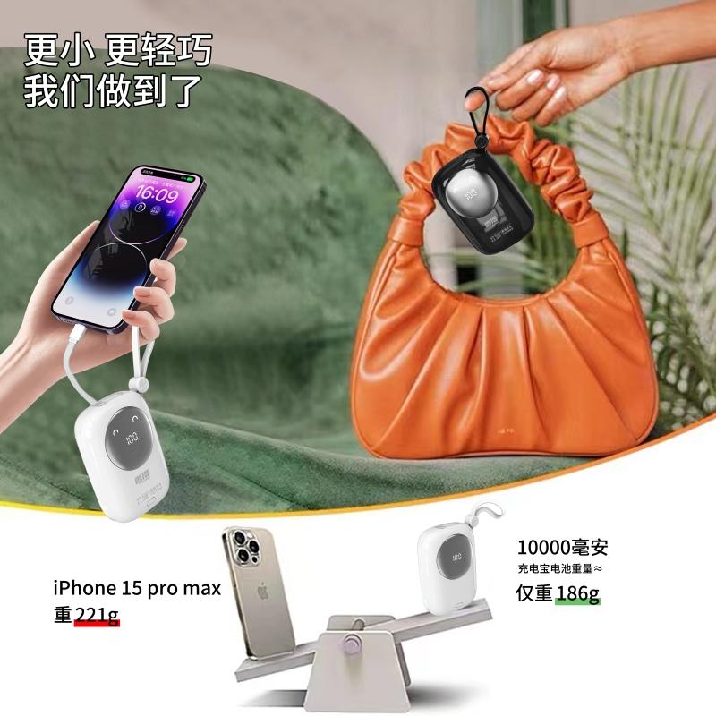 雷摄 LS-R36D 移动电源 10000毫安 黑色按个销售