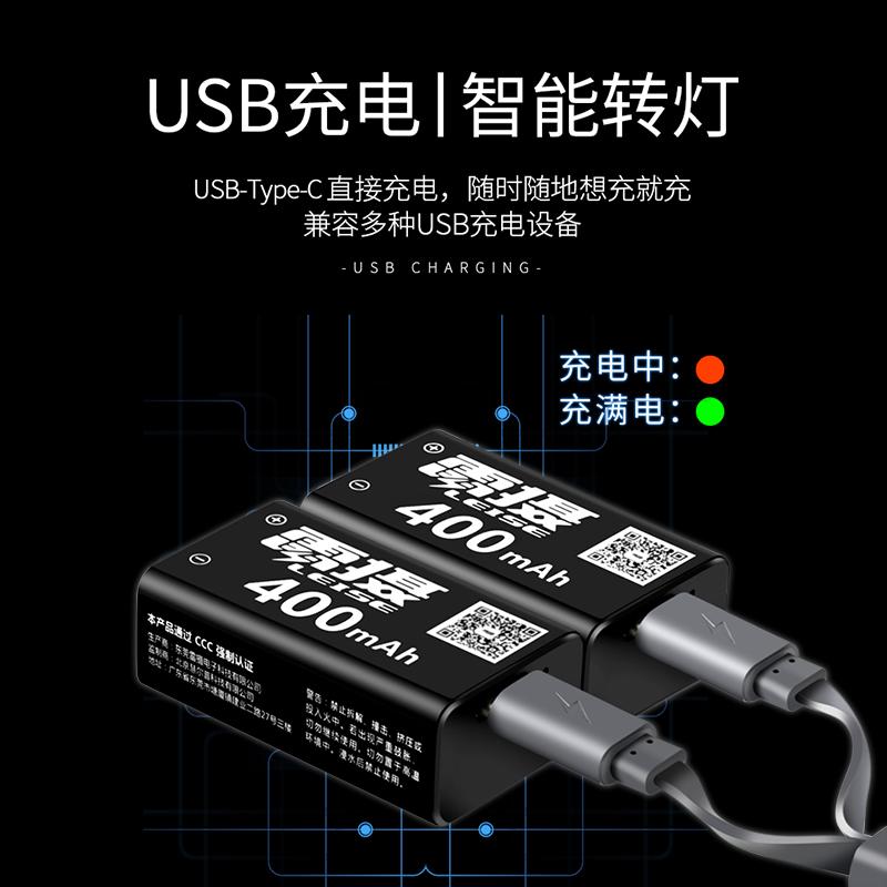 雷摄 USB-9V400mAh Type-C充电锂电池 9V 2节400mAh 黑色按盒销售