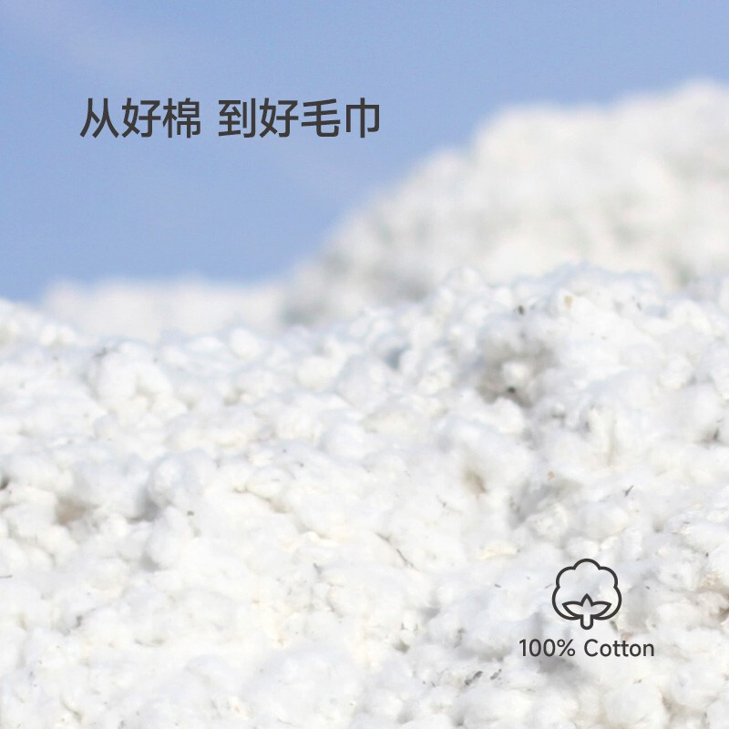 最生活 A-1182 条纹毛巾两条礼盒 100g 34*70cm按（盒）销售