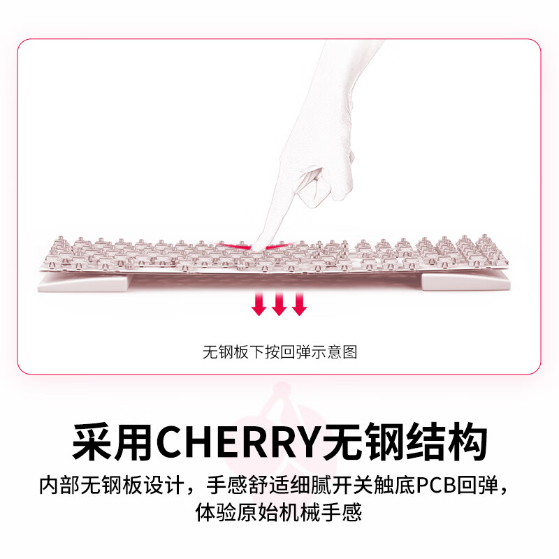 Cherry MX-BOARD 3.0S 樱桃 MX3.0S 侧刻键帽 合金外壳 樱桃无钢结构电竞有线键盘 黑色-无光-茶轴 109键按个销售
