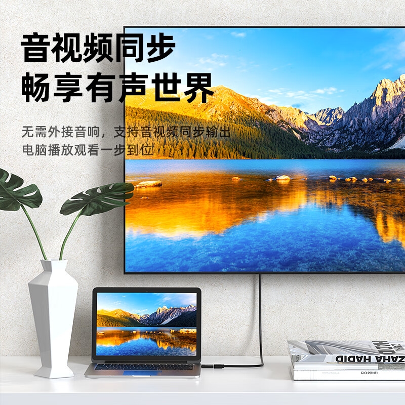 毕亚兹 ZH120 DP转HDMI转接头 公对母4K高清版(单转)按根销售