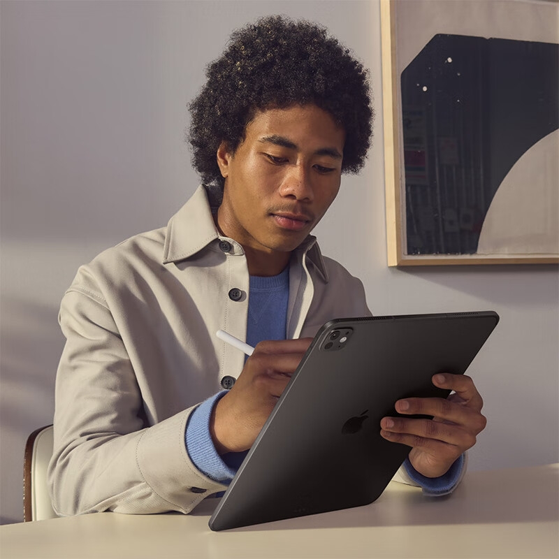 apple iPad Pro 11英寸 M4芯片 2024年新款平板电脑 2T WLAN版/标准玻璃 银色按台销售