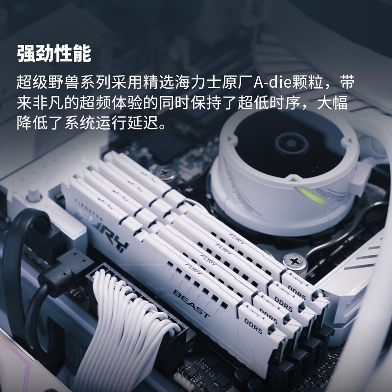 金士顿 DDR5 6400 台式机内存条 Beast 超级野兽系列 FURY 64GB(32G×2)套装 海力士A-die白按套销售
