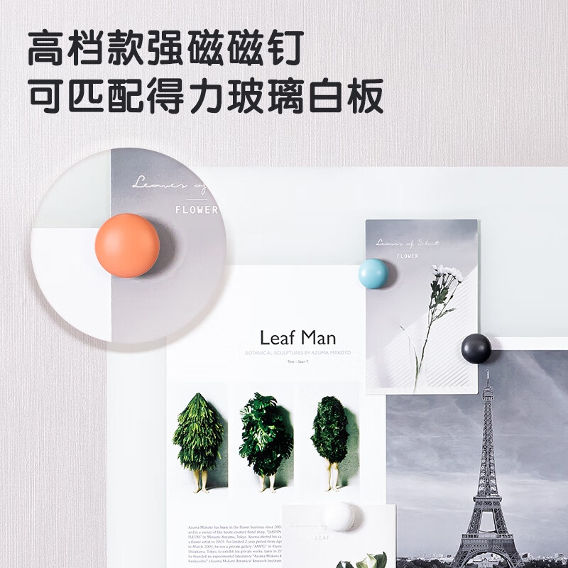 得力 7813 4色玻璃白板专用强磁钉 25mmx4粒按卡销售