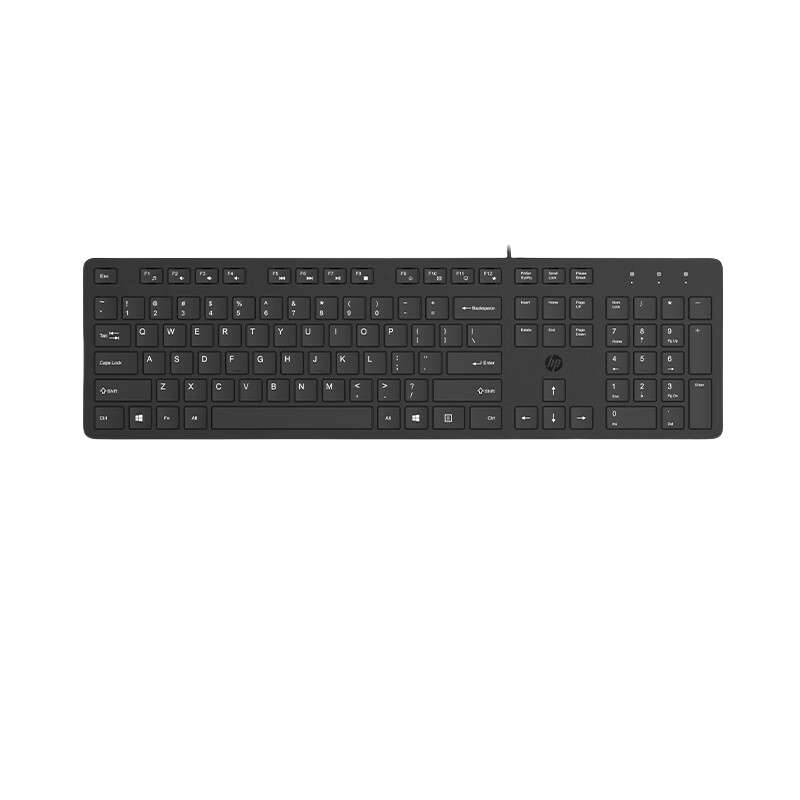惠普 K310 有线单键盘 全尺寸105键 黑色按个销售