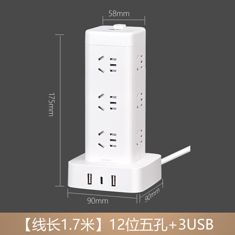 德力西 CD98H-DK12X2A1CG 1.7 过载保护立式插座 12位五孔USB+TYPE-C总控1.7米按个销售