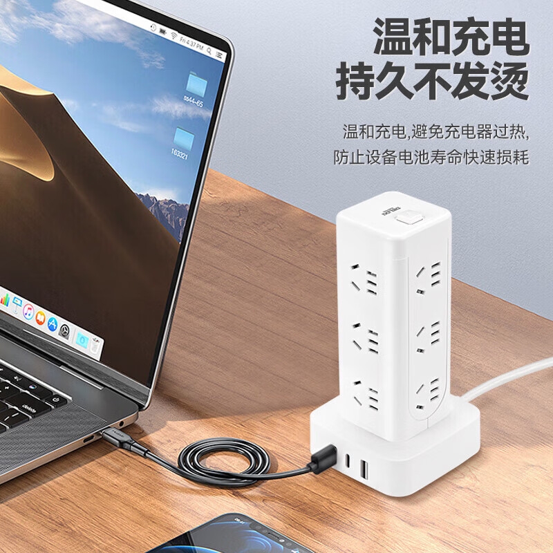德力西 CD98H-DK16X2A1CG 3M 过载保护立式插座 16位五孔USB+TYPE-C总控3米按个销售