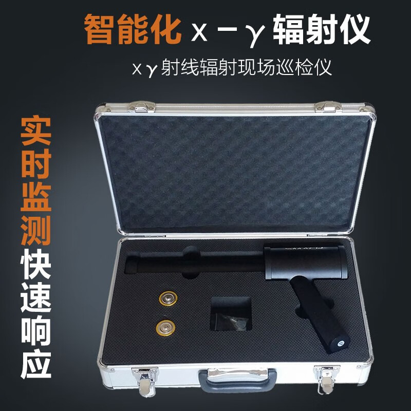 智元 RP6500 核辐射检测仪X、y射线巡检仪专业辐射检测仪 锂电按台销售
