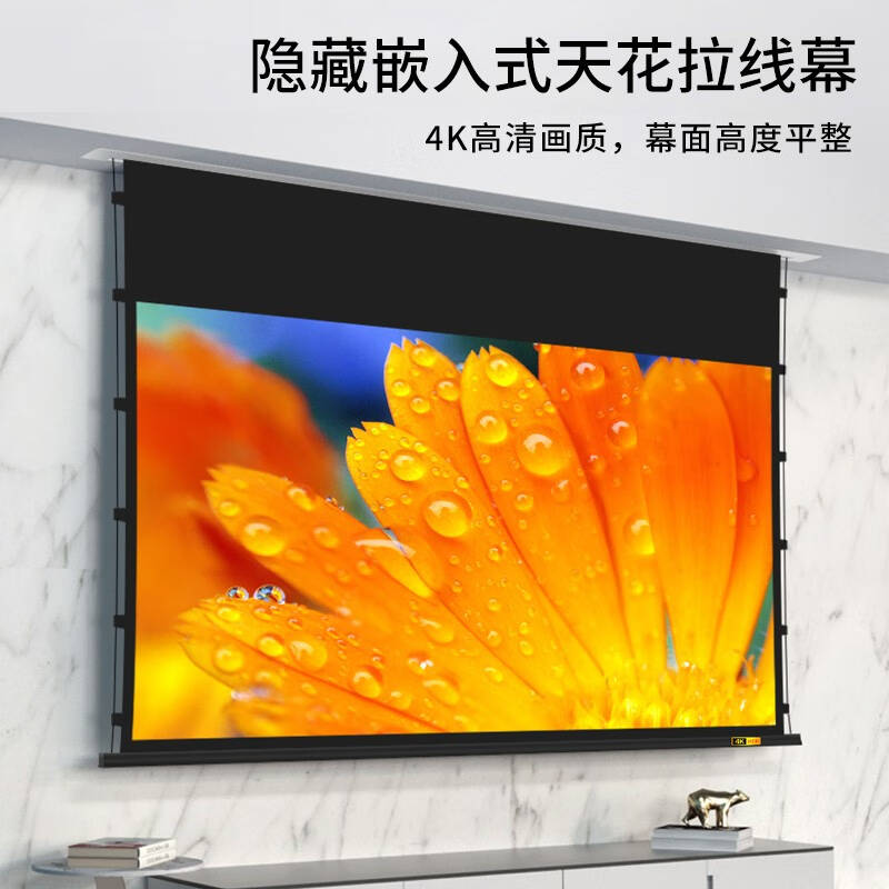 虾皮 电动遥控自动升降投影幕布 白玻纤 高清4K  120寸16:9按个销售