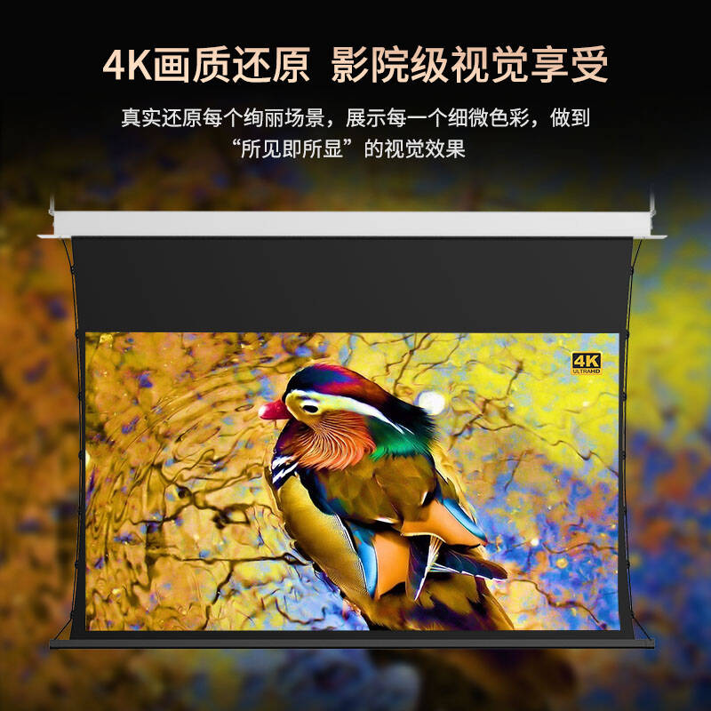 虾皮 电动遥控自动升降投影幕布 白玻纤 高清4K  120寸16:9按个销售