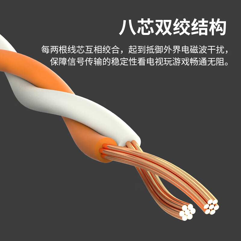 山泽 ZW-05 超五类网线 CAT5e类高速百兆 5米 贝吉色按（条）销售