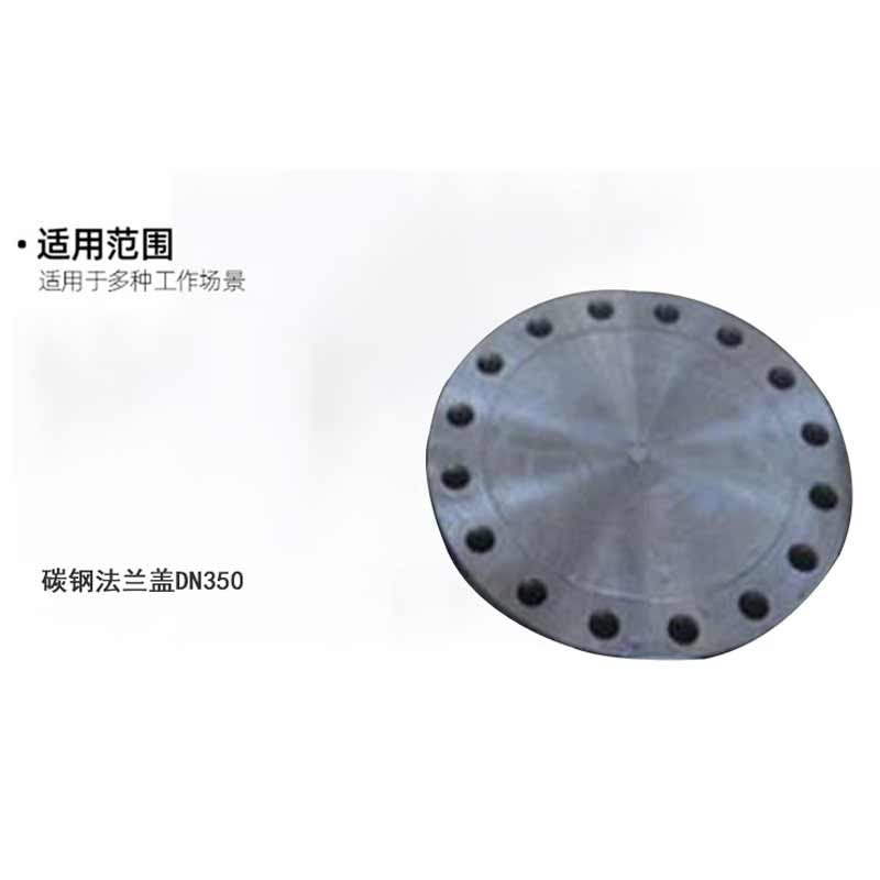 泰流科技 DN350 碳钢法兰盖按（件）销售