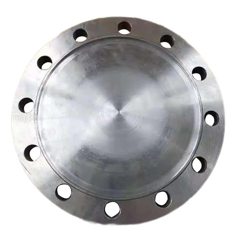 泰流科技 DN800 PN10 法兰堵头 厚度22cm按（片）销售