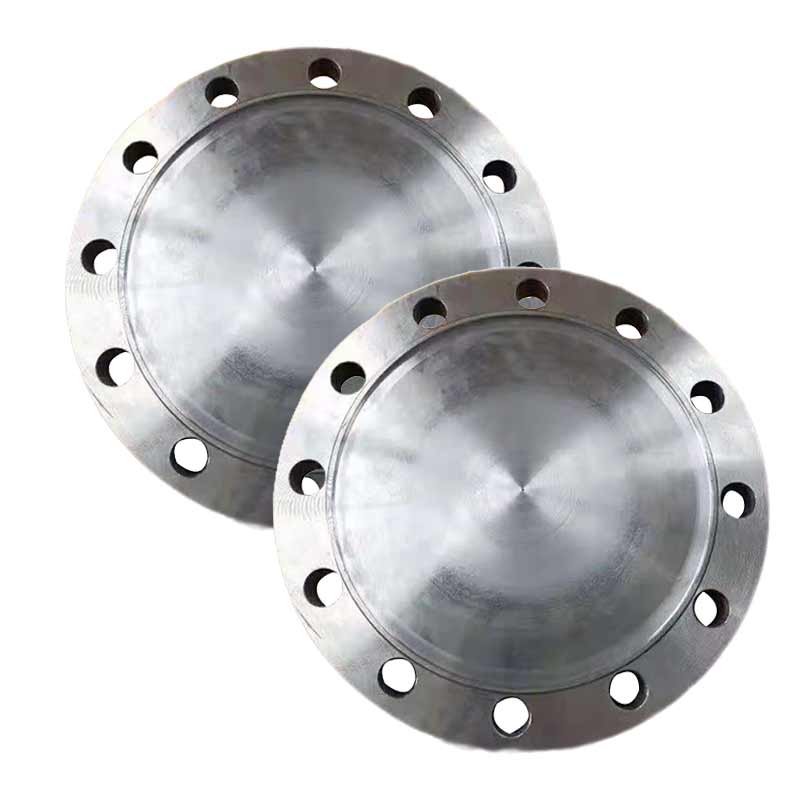 泰流科技 DN800 PN10 法兰堵头 厚度22cm按（片）销售