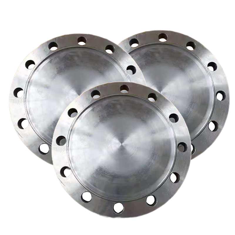 泰流科技 DN800 PN10 法兰堵头 厚度22cm按（片）销售
