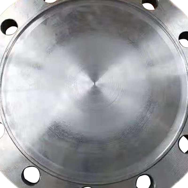 泰流科技 DN800 PN10 法兰堵头 厚度22cm按（片）销售