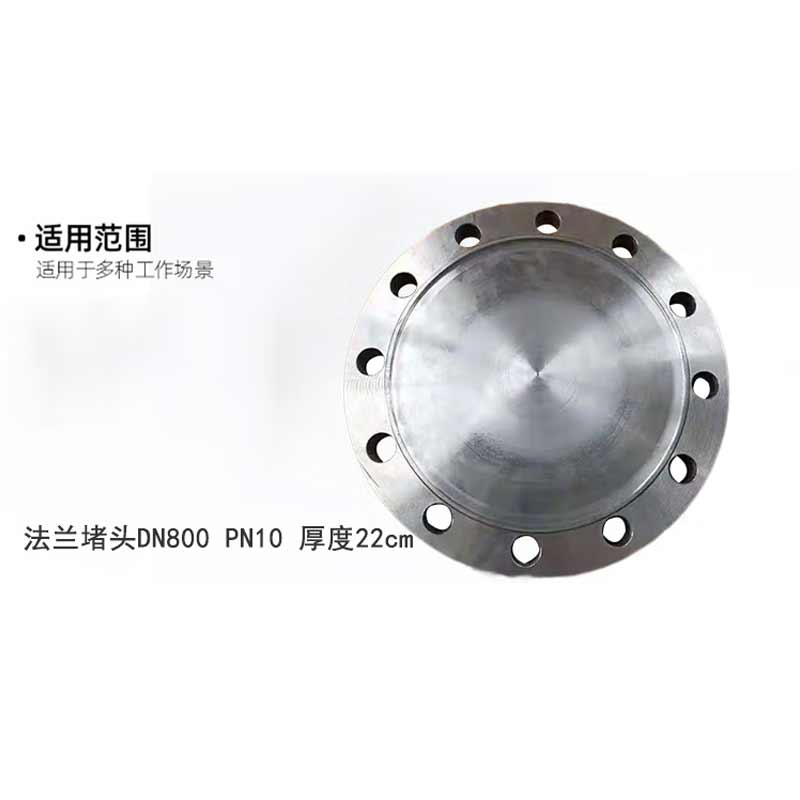 泰流科技 DN800 PN10 法兰堵头 厚度22cm按（片）销售