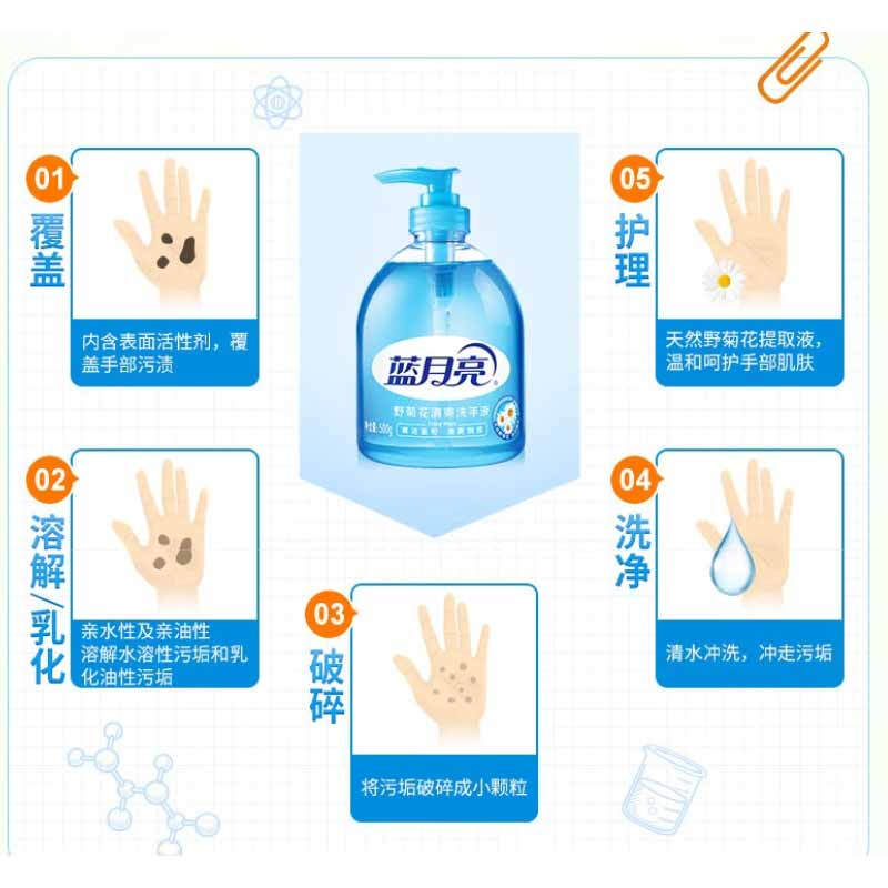 蓝月亮 洗手液套装 500g+500g 抑菌芦荟+清爽野菊花按(套)销售 蓝月亮 洗手液套装 500g+500g 抑菌芦荟+清爽野菊花按(套)销售