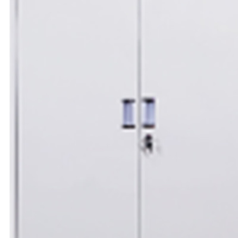 奇冠 钢制文件柜 1850*900*400mm 通门文件柜加厚 灰白按(张)销售 奇冠 钢制文件柜 1850*900*400mm 通门文件柜加厚 灰白按(张)销售